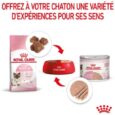 royal-canin-mother-babycat-mousse-pour-chatte-et-chaton-195-g (3)