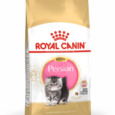 royal-canin-persan-kitten (2)