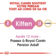 royal-canin-persan-kitten (3)