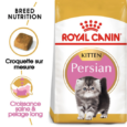 royal-canin-persan-kitten (5)