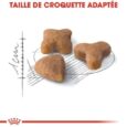 royal-canin-sensible-2-kg (4)