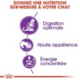 royal-canin-sensible-2-kg (5)
