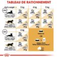 royal-canin-siamois-adulte-2-kg (2)