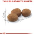 royal-canin-sterilised (2)