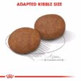 royal canin medium adult 15 kg
