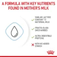 royal canin baby dog milk 400 g