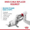 royal canin baby dog milk 400 g