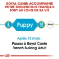 royal canin chiot bouledogue français