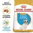royal canin chiot bouledogue français