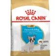royal canin chiot bouledogue français