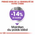 royal canin maxi sterilised 12 kg