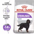 royal canin maxi sterilised 12 kg