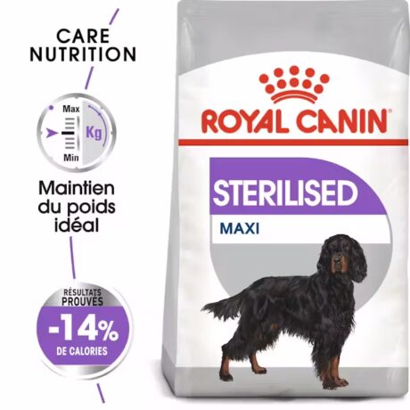 royal canin maxi sterilised 12 kg