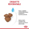 royal canin mini starter mother babydog 4 kg