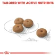 royal canin mini sterilised