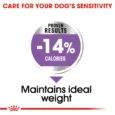royal canin mini sterilised